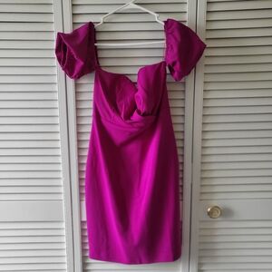 Express Magenta Mini Dress